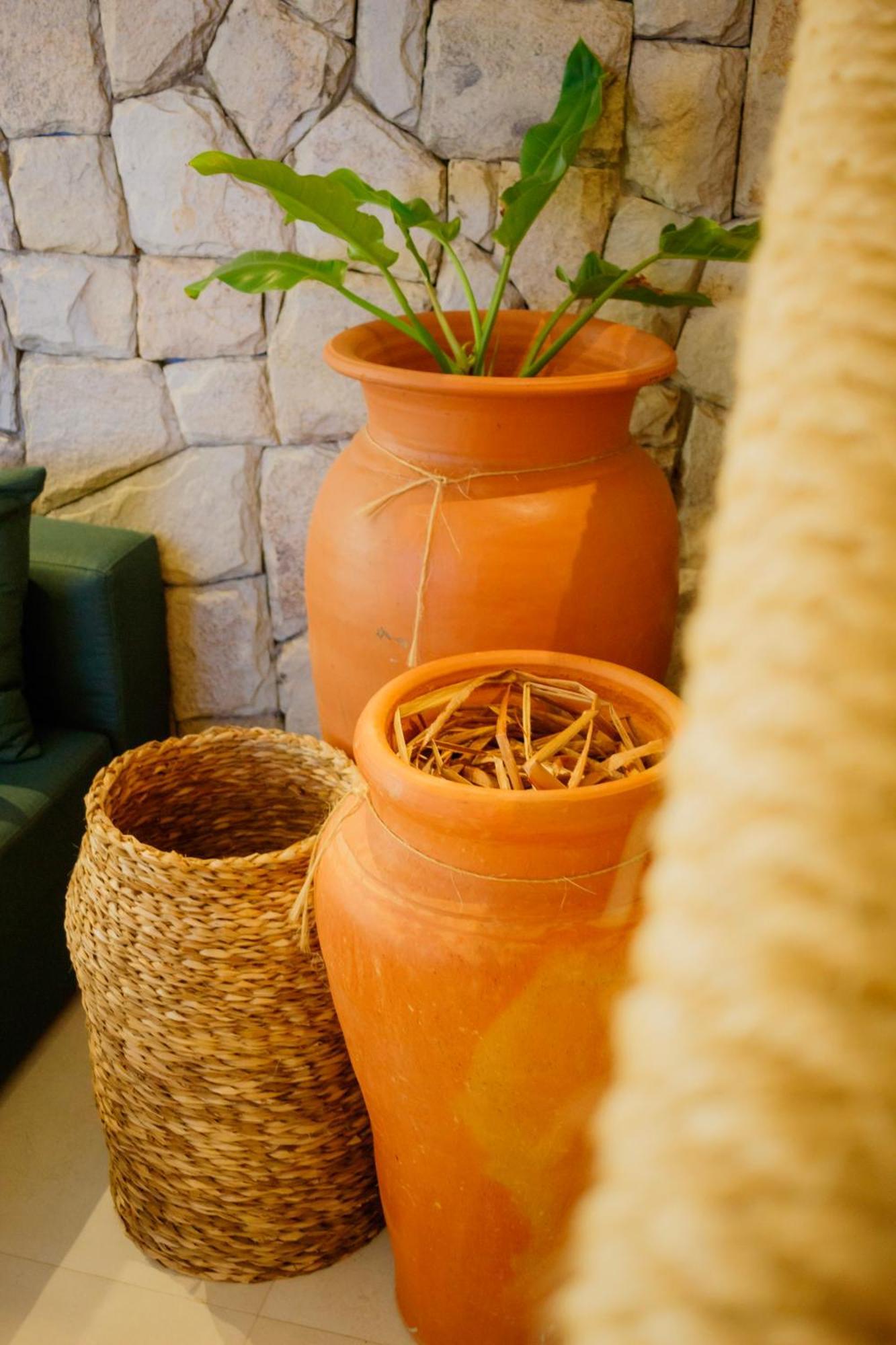 Kasa Milagres - Rota Ecologica Dos Milagres Villa São Miguel dos Milagres Exteriör bild